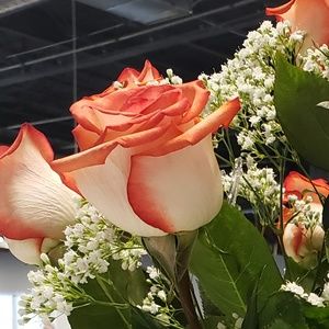 Meet your Posher, Gina